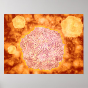 Microscopic View Of Canine Parvovirus 1 Poster
