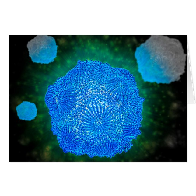 Microscopic View Of Canine Parvovirus 3 (Front Horizontal)