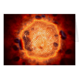 Microscopic View Of Canine Parvovirus 4