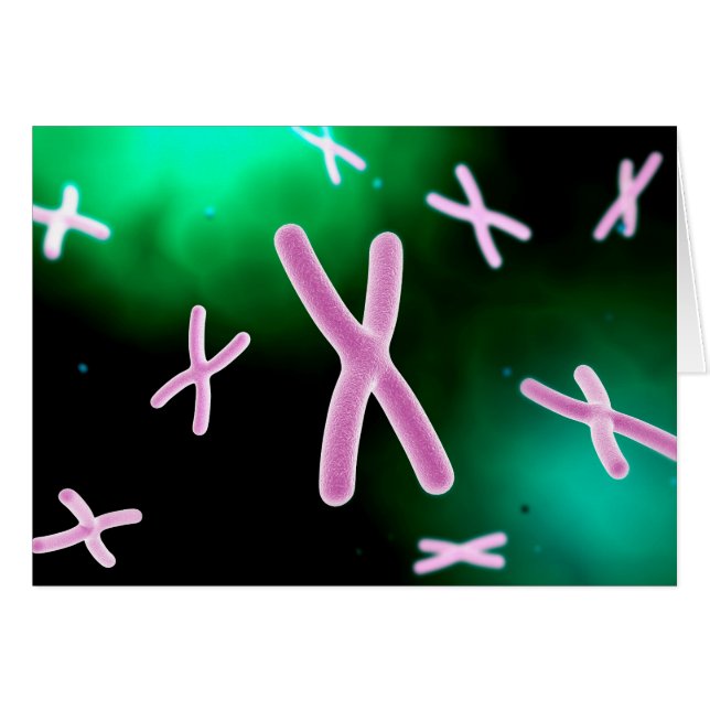 Microscopic View Of Chromosome 2 (Front Horizontal)