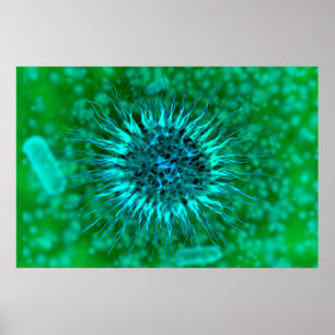 Microscopic View Of Dendrimers 3 Poster