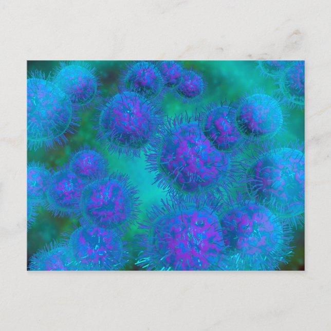 Microscopic View Of Diplococcus Bacterium Postcard (Front)
