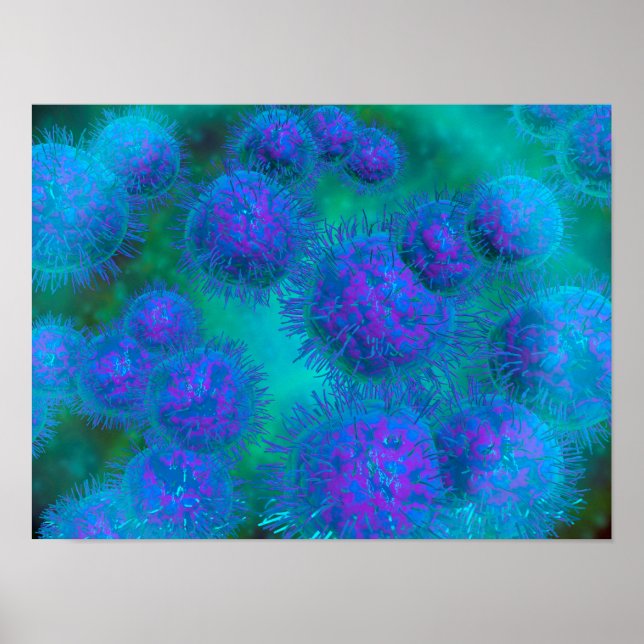 Microscopic View Of Diplococcus Bacterium Poster (Front)