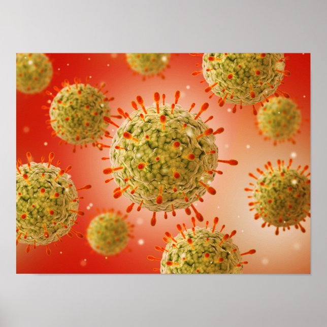 Microscopic View Of Herpes Virus 1 Poster (Front)