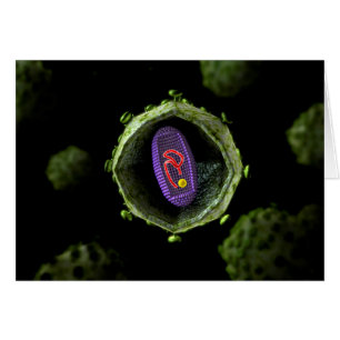 Microscopic View Of HIV Virus, Cross Section