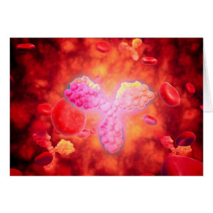 Microscopic View Of Human Anitbodies