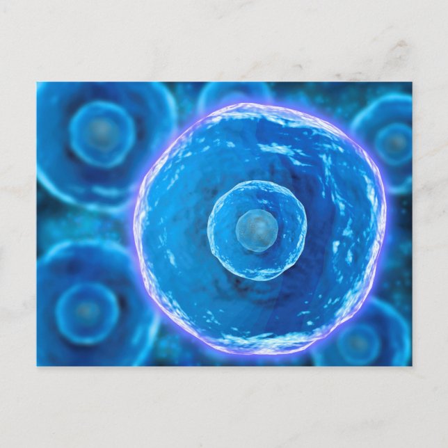 Microscopic View Of Human B-Cells 1 Postcard (Front)