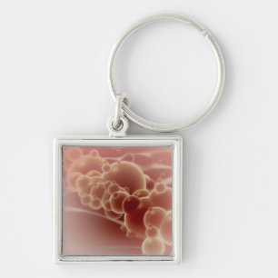 Microscopic view of latex microspheres key ring