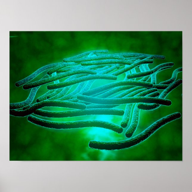 Microscopic View Of Legionella Pneumophila 1 Poster (Front)