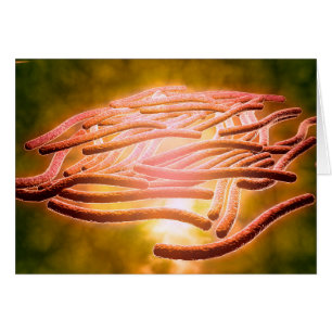 Microscopic View Of Legionella Pneumophila 2