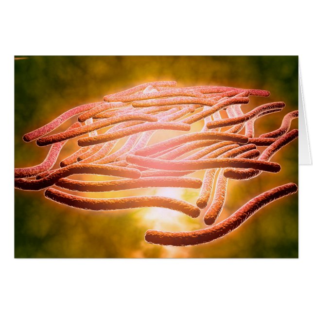 Microscopic View Of Legionella Pneumophila 2 (Front Horizontal)