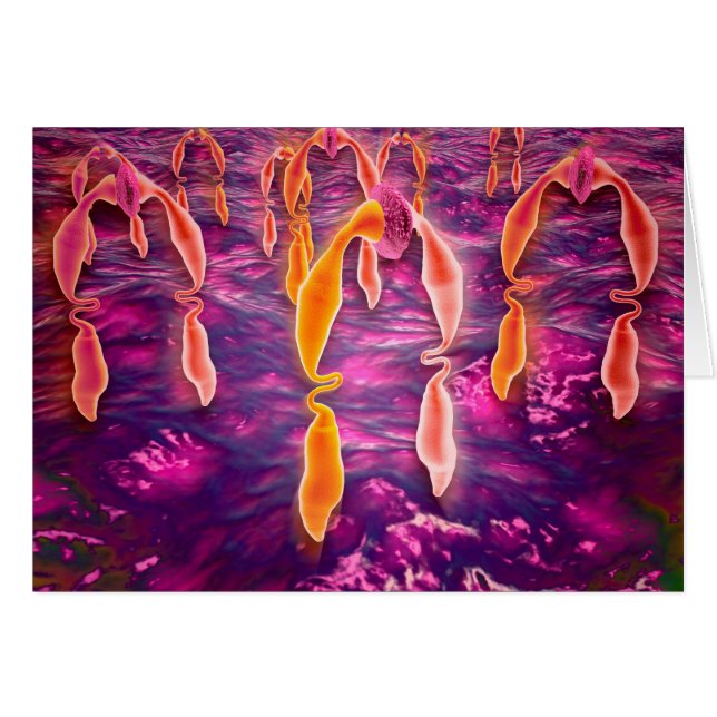 Microscopic View Of Ligand Binding To A Receptor (Front Horizontal)