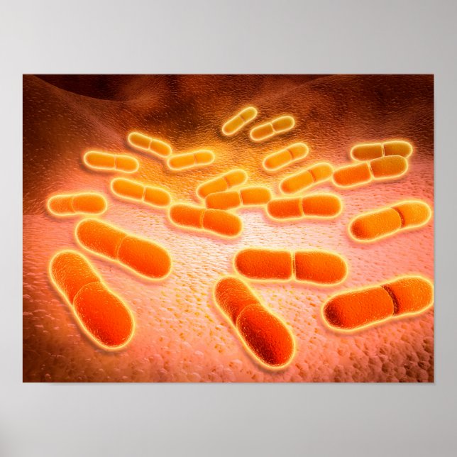 Microscopic View Of Listeria Monocytogenes 1 Poster (Front)