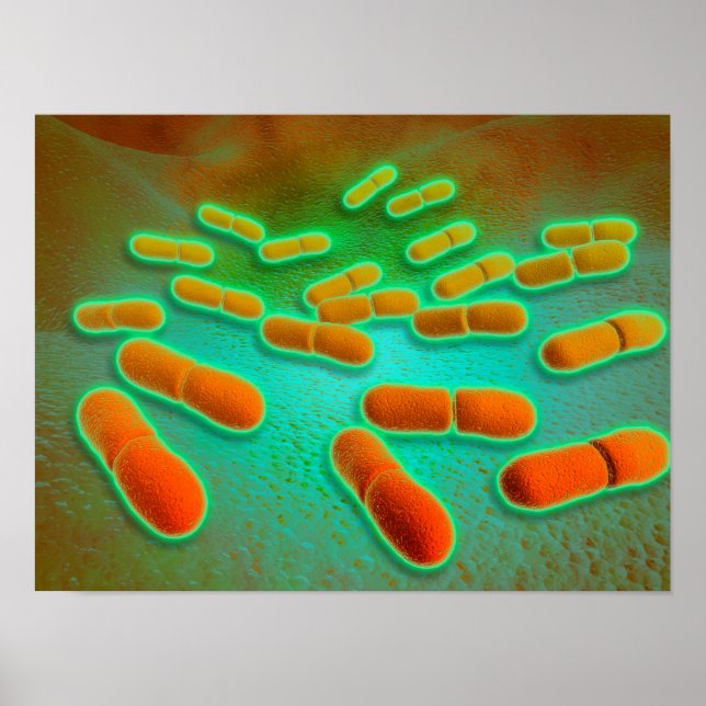Microscopic View Of Listeria Monocytogenes 3 Poster (Front)