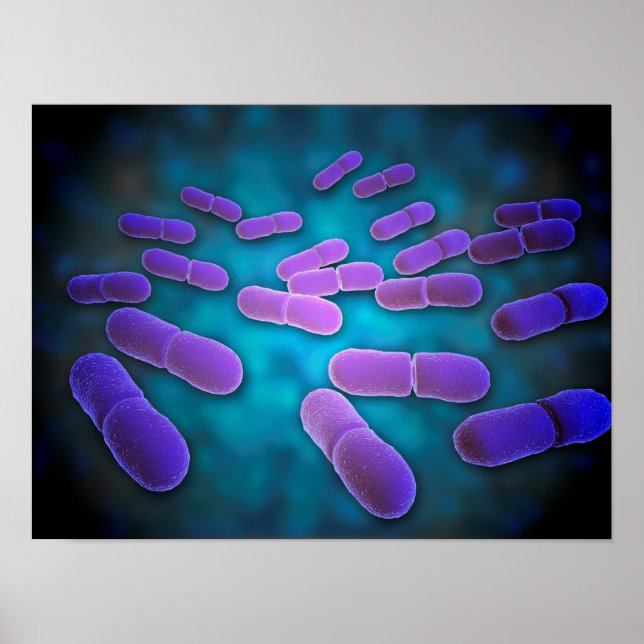Microscopic View Of Listeria Monocytogenes 5 Poster (Front)