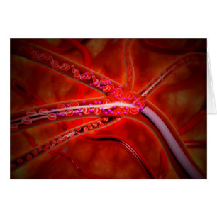 Microscopic View Of Medicine Being Injected