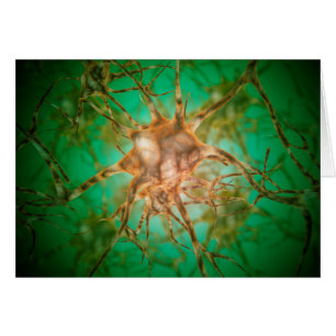 Microscopic View Of Multiple Nerve Cells 1