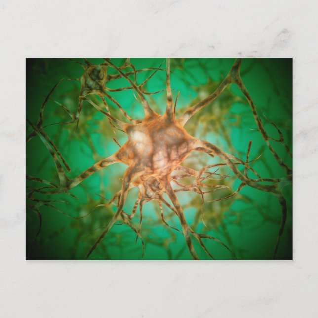 Microscopic View Of Multiple Nerve Cells 1 Postcard (Front)