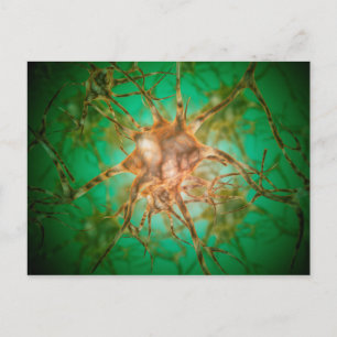 Microscopic View Of Multiple Nerve Cells 1 Postcard