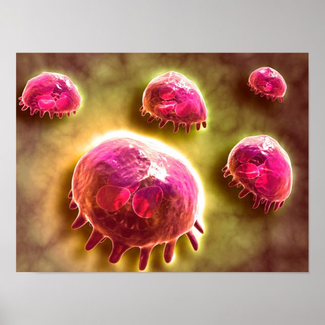 Microscopic View Of Phagocytic Macrophages 2 Poster (Front)
