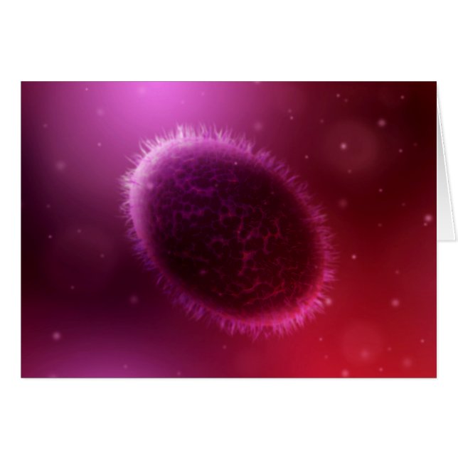 Microscopic View Of Samllpox 1 (Front Horizontal)