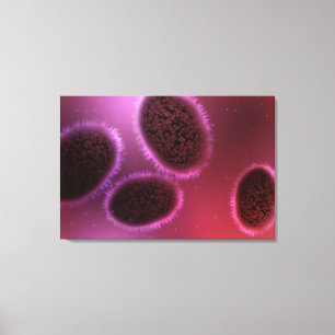 Microscopic View Of Samllpox 2 Canvas Print