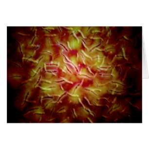 Microscopic View Of Sperm