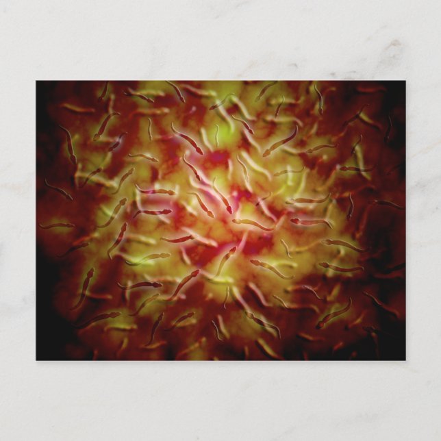 Microscopic View Of Sperm Postcard (Front)