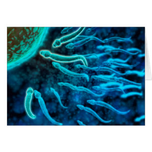 Microscopic View Of Sperm Swimming Towards Egg 1