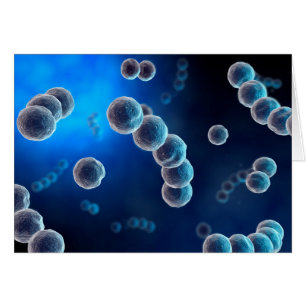 Microscopic View Of Streptococcus 2