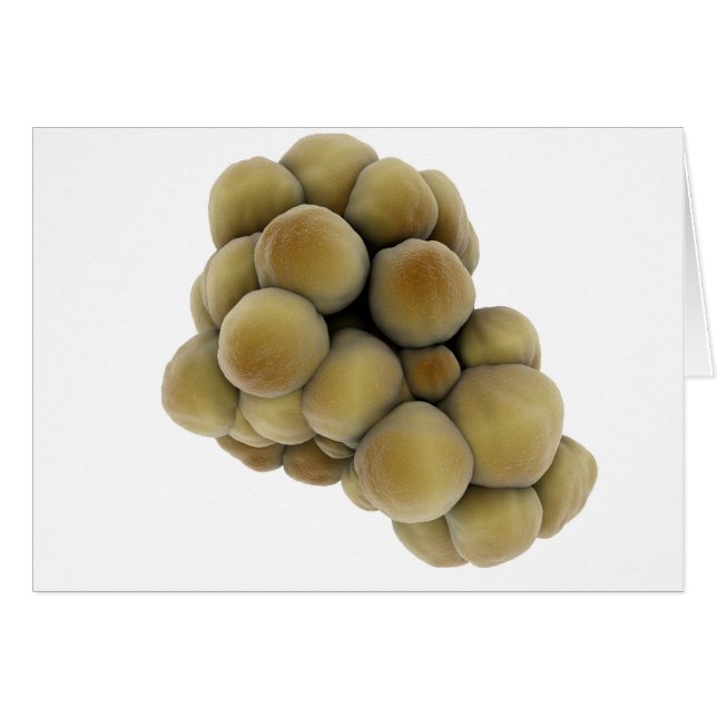 Microscopic View Of Tumour 5 (Front Horizontal)