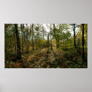 Mid autumn, poster