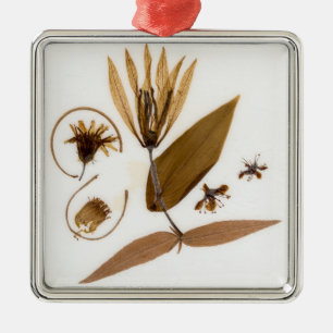 Mid-Century Modern Pressed Dried Flowers Metal Ornament