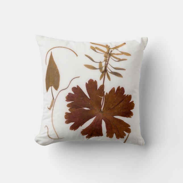 Mid-Century Modern Pressed Flowers Cushion (Front)