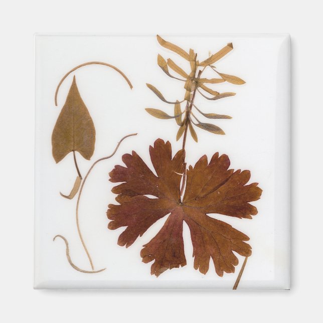 Mid-Century Modern Pressed Flowers Magnet (Front)