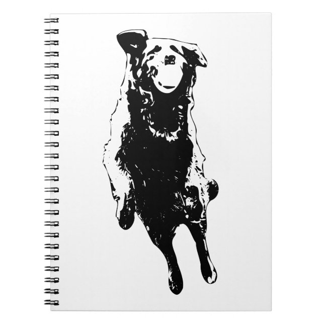 Mid-leap delight notebook (Front)