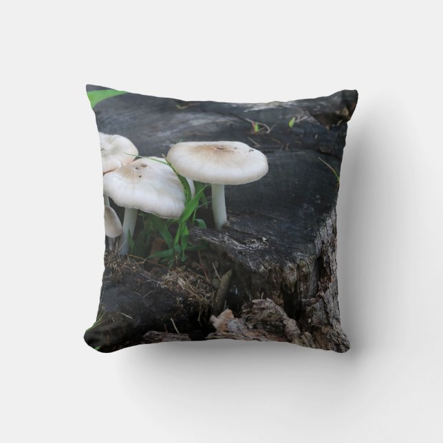 Mid Summers Fungi Cushion (Front)