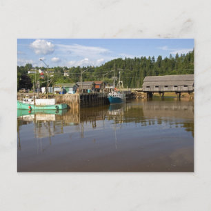 Mid tide at the Bay of Fundy at St. Martins, New Postcard