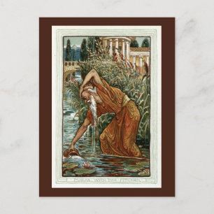 Midas with the Pitcher Postcard