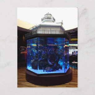 Middle Bay Lighthouse Fish Tank Postcard