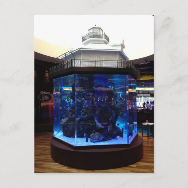 Middle Bay Lighthouse Fish Tank Postcard (Front)
