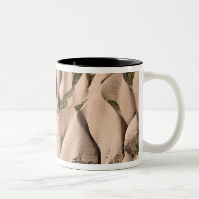 Middle East central part of Turkey in Two-Tone Coffee Mug (Right)