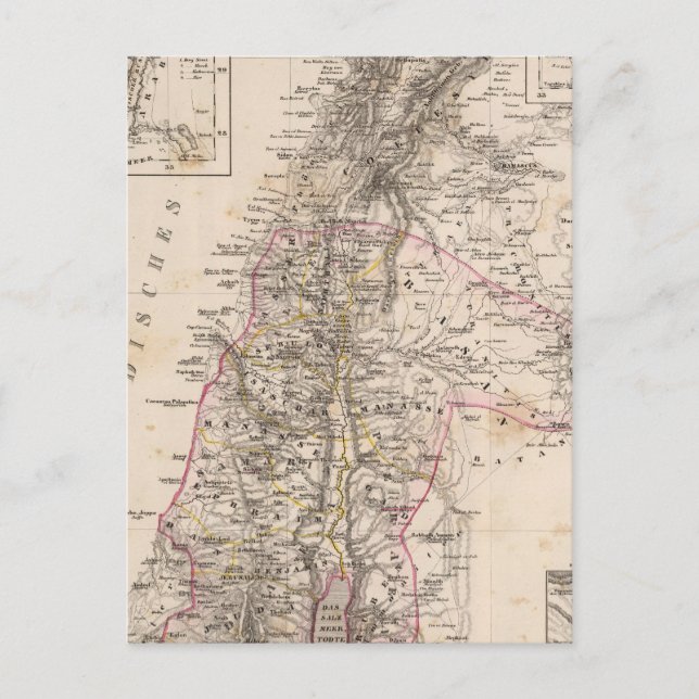 Middle East, Palestine Postcard (Front)