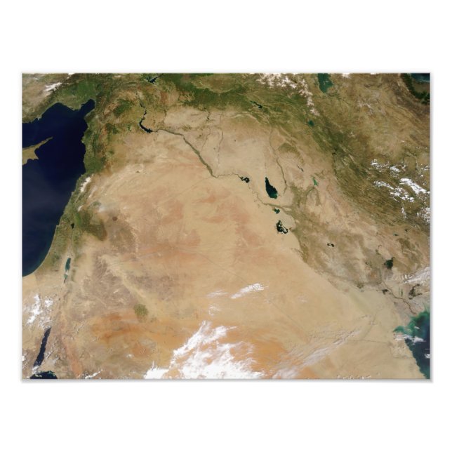 Middle East Photo Print (Front)
