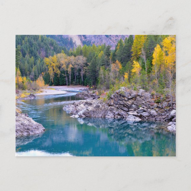 Middle Fork of Flathead River Photo Postcard (Front)
