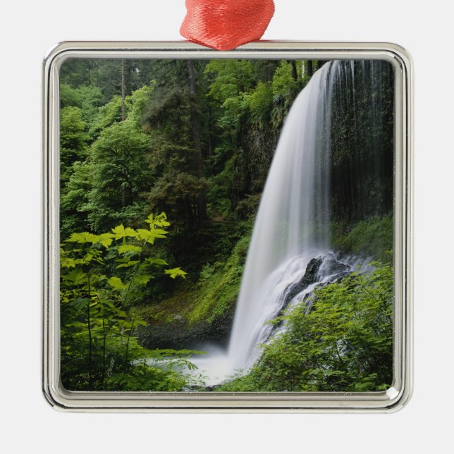 Middle North falls, Silver Falls State Park, Metal Tree Decoration (Front)