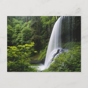 Middle North falls, Silver Falls State Park, Postcard