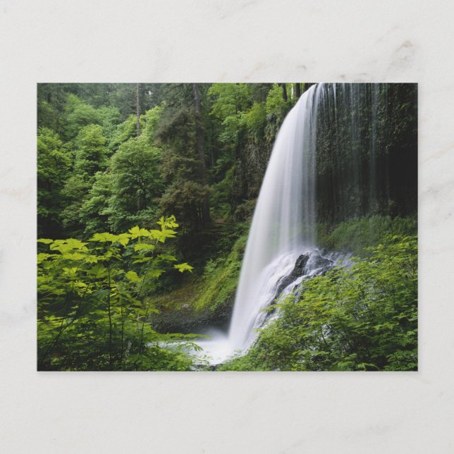 Middle North falls, Silver Falls State Park, Postcard (Front)