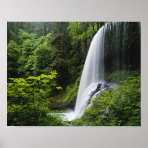 Middle North falls, Silver Falls State Park, Poster