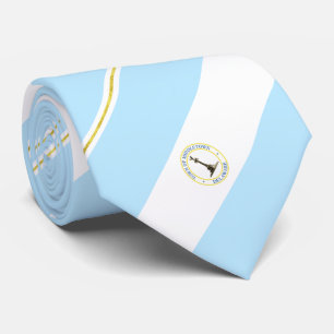 Middletown (Delaware) city flag Neck Tie